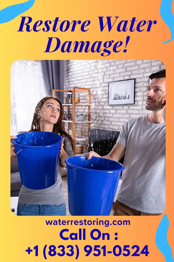 water restoration Prestige Water Repair & Sons Baumstown