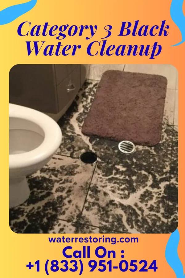 Category 3 Black Water Cleanup in Baumstown, PA