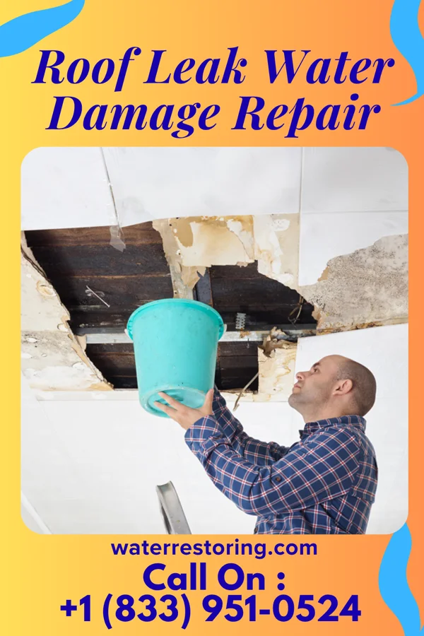 Roof Leak Water Damage Repair in Baumstown, PA
